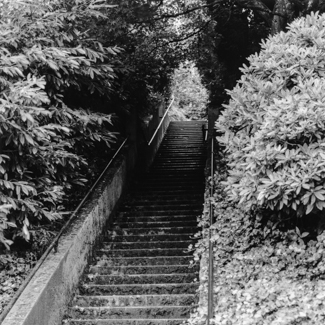 West Hills - Fairfax Stairway