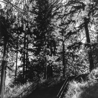 Mt Tabor - Summit Stairway