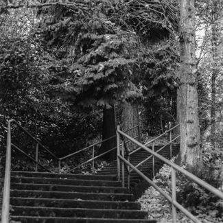 West Hills - Lewis and Clark Circle Stairway